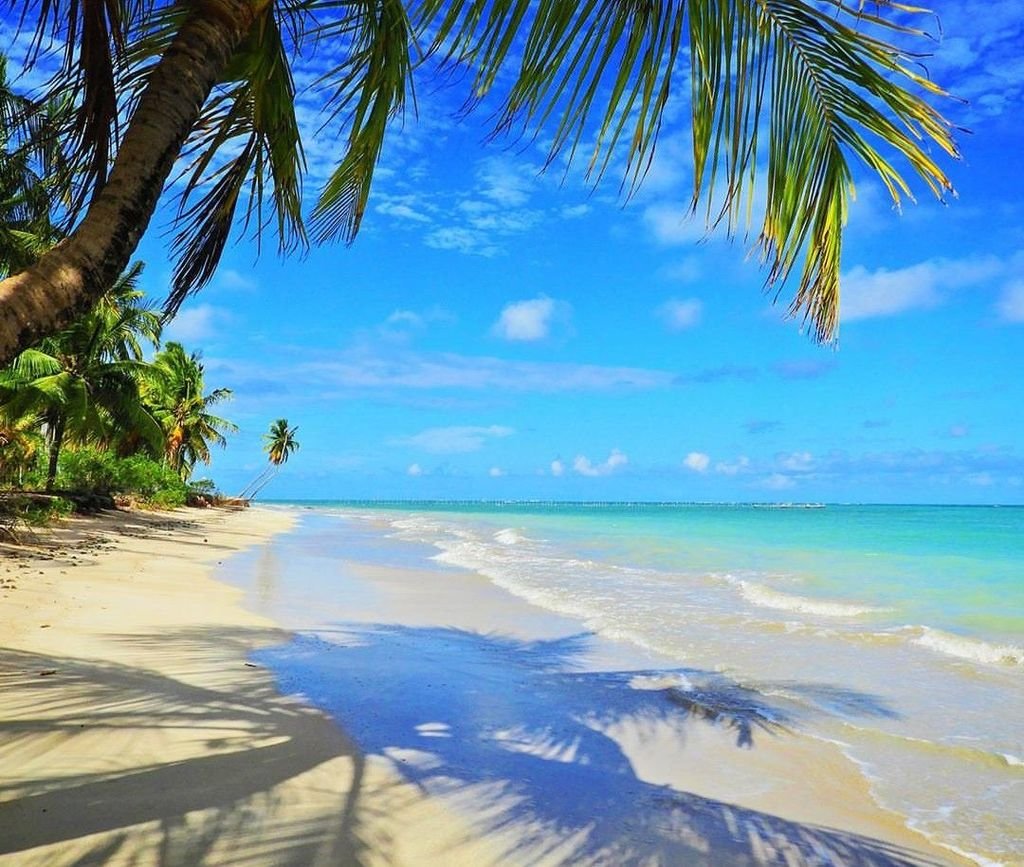 PASSEIO SÃO MIGUEL DOS MILAGRES