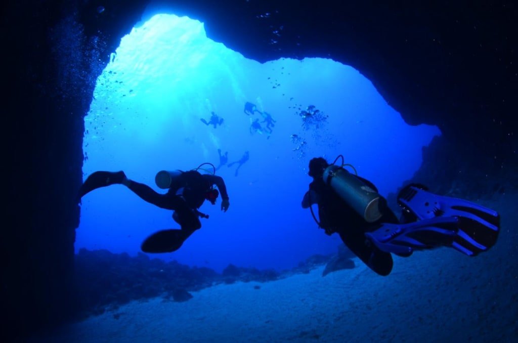MERGULHO CREDENCIADO EM FERNANDO DE NORONHA